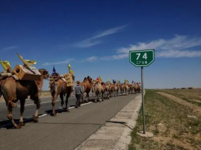 茶叶之路发源地,茶叶主产区