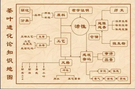 茶叶基础知识内容,茶叶基础知识学习
