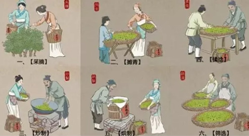 茶叶制作工艺