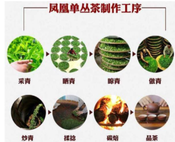 茶叶制作工艺