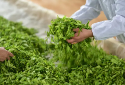 在农村流动卖茶叶