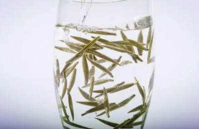 茶叶泡出来无色