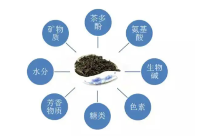 茶叶提神成分