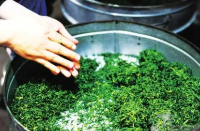 茶叶提香时间