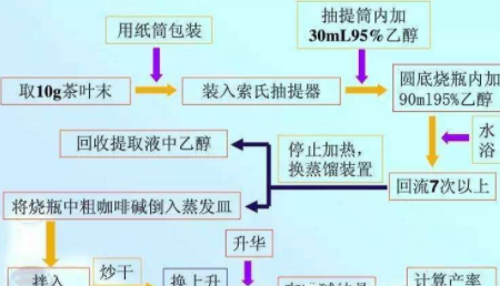 茶叶提取咖啡因