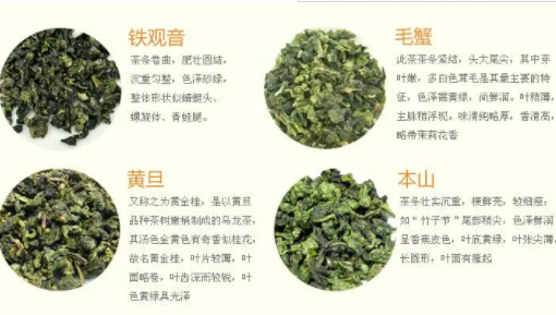 茶叶品种辨别