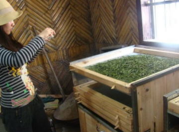 茶叶烘焙机械