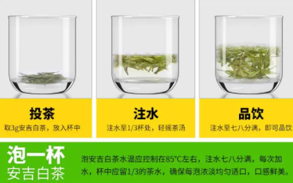 茶叶正确泡法