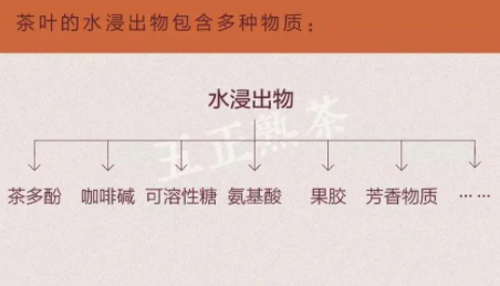 茶叶浸出物含量