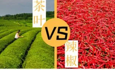 茶叶和辣椒