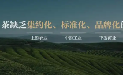 茶叶思维和经验