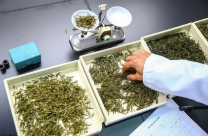 茶叶质量检测