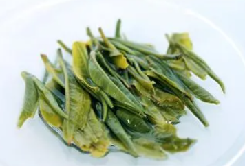 茶叶老叶黄绿色