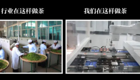 茶叶模式的创新