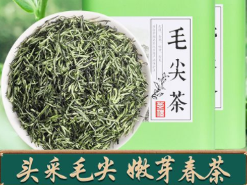 绿茶茶叶毛尖