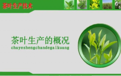 学习茶叶生产标准参考书籍推荐这本