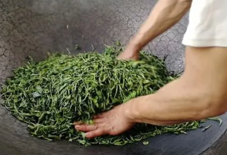 茶叶加工工艺