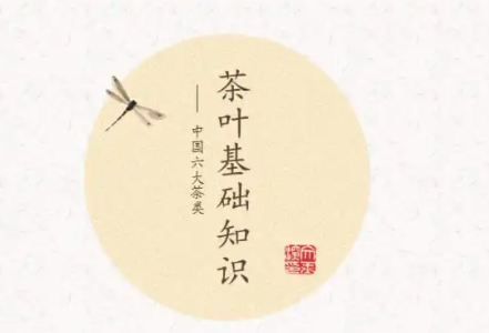 茶叶基本知识